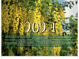 Kalendar “Cvijeće 2024” 13 listova, spirala JP.