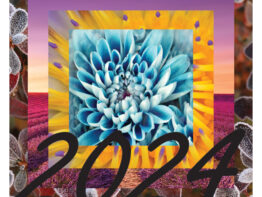 Kalendar “Igre prirode 2024” 13 listova, spirala
