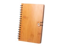 Palmex, notebook