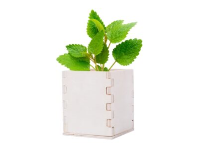 Merin, mint herb pot