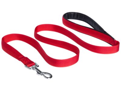 Fronuk, pet lead