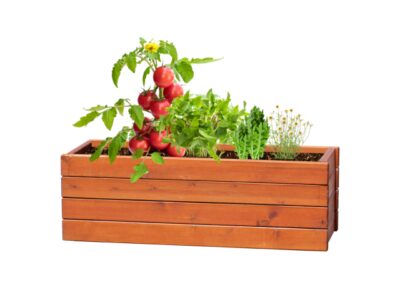 Tomarux, herb growing kit