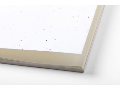 Funtil, seed paper notebook