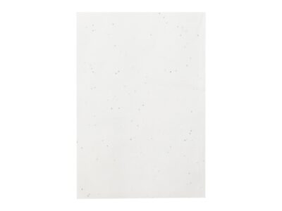 Maiwen, seed paper notebook