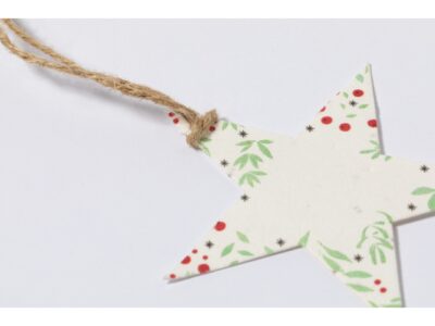 Boster, Christmas tree ornament, star