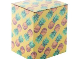 CreaBox EF-241, custom box