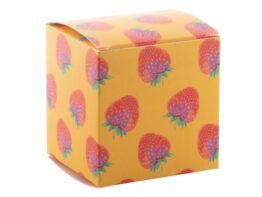 CreaBox PB-243, custom box