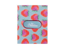 CreaCam Plus, custom webcam blocker