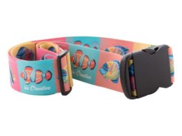 Terminal, custom luggage belt