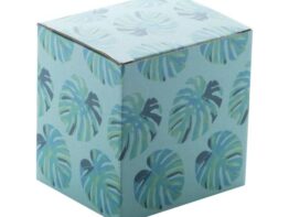 CreaBox EF-050, custom box