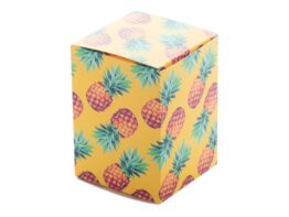 CreaBox PB-098, custom box