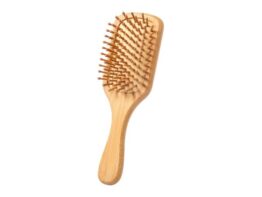 Palau, hairbrush