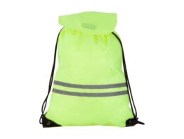 Carrylight, reflective bag
