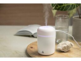 Rapor, RABS humidifier