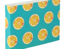 CreaSleeve 248, custom paper sleeve