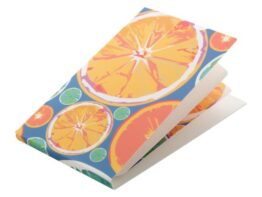 MasCase, face mask case