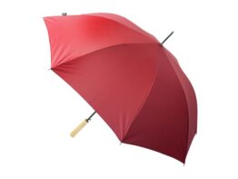 Asperit, RPET umbrella