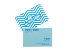 Visicard Safe, custom tearproof business cards