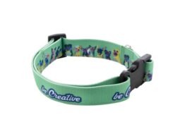 Ziggy, custom dog collar