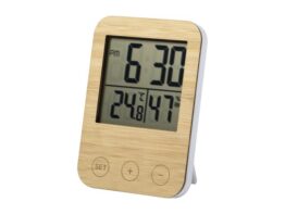 Tempix, weather station