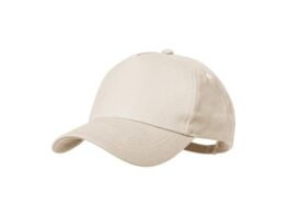 Gibson, baseball cap