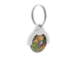 Token, trolley coin keyring
