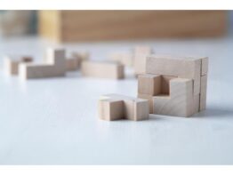Leon, magic puzzle