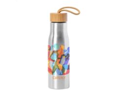 Bissip, stainless steel bottle