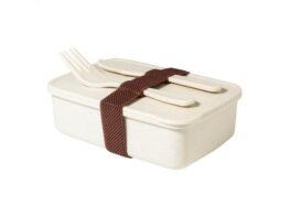 Adobo, lunch box
