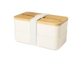 Laksa, lunch box