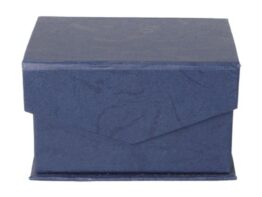 Macon, glass block