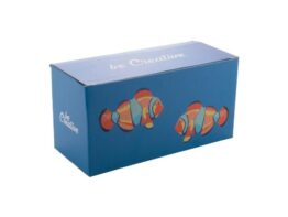 CreaBox Mug Double, custom double mug box