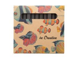 Craxon 12 Eco, custom 12 pc crayon set
