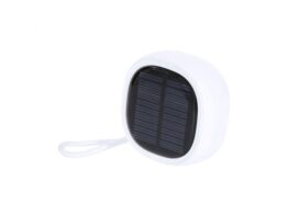 Colep, RABS wireless speaker