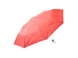 Susan, umbrella