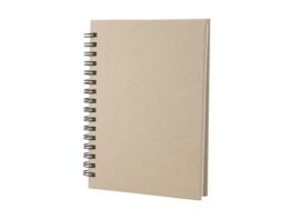 Cedrus A6, notebook