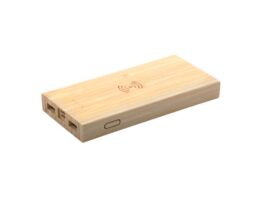 Wooster, power bank