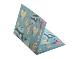 Dioptry Mail, postcard glasses cloth