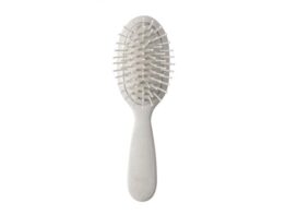 Sasson, hairbrush