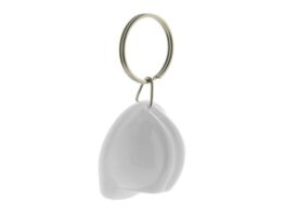 Bobby, keyring