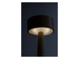 Lumboo, bamboo table lamp